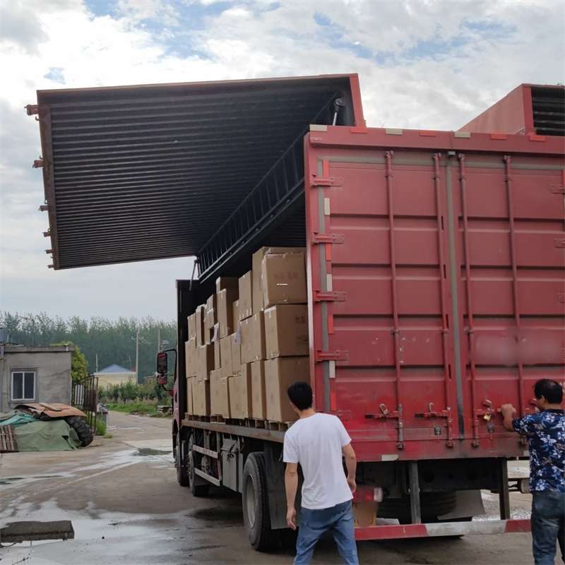 乳山市扎囊县：物流专线的高效货运之旅